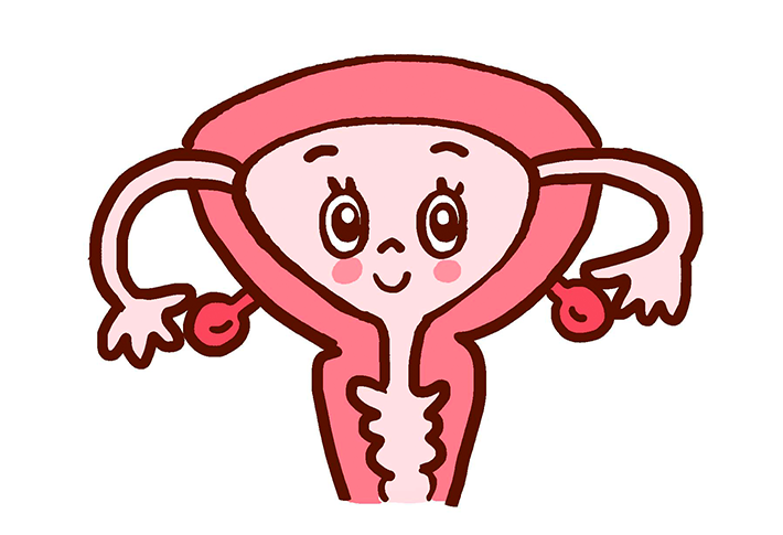 子宮イラスト
